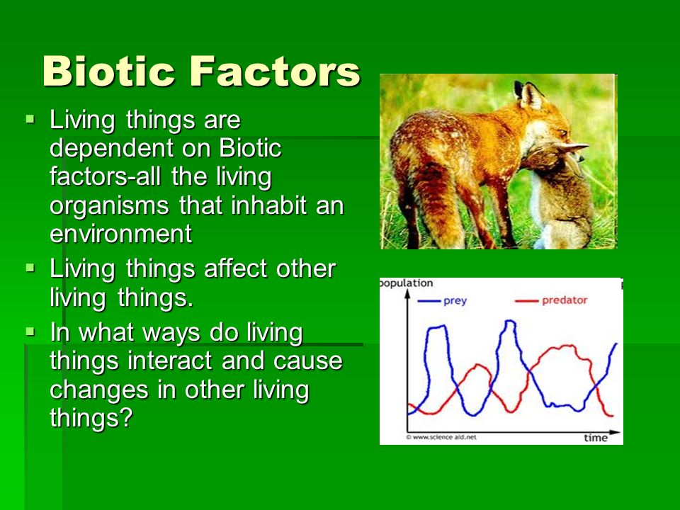 Biotic Factors. 