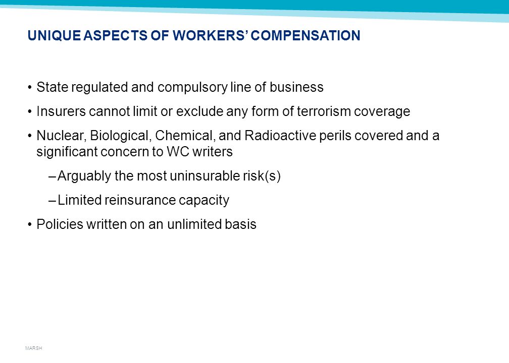 Managing the Uncertainty of Terrorism Risk - ppt video online download