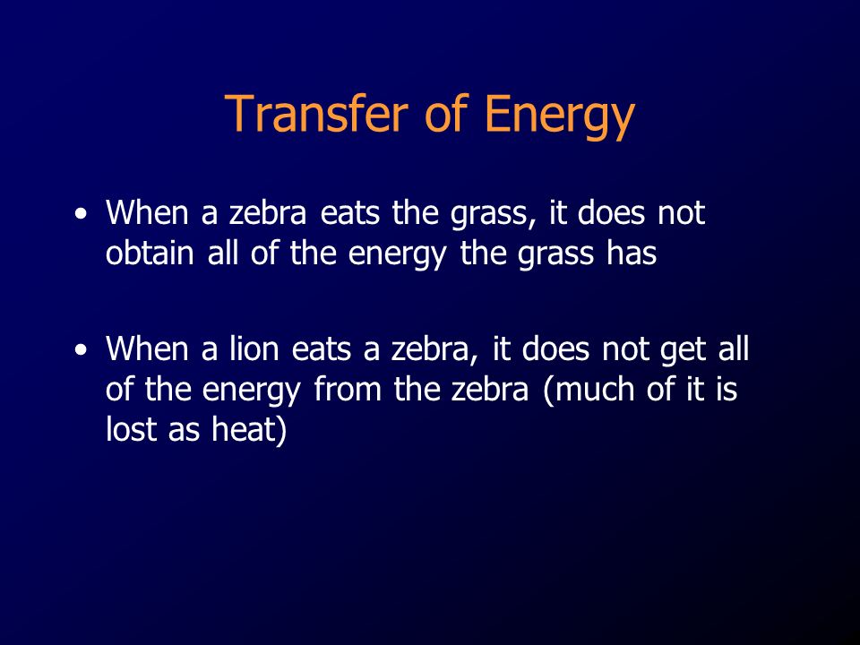 Transfer of Energy When a zebra eats the grass, it does not obtain all of the energy the grass has.