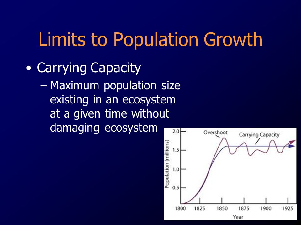 Limits to Population Growth