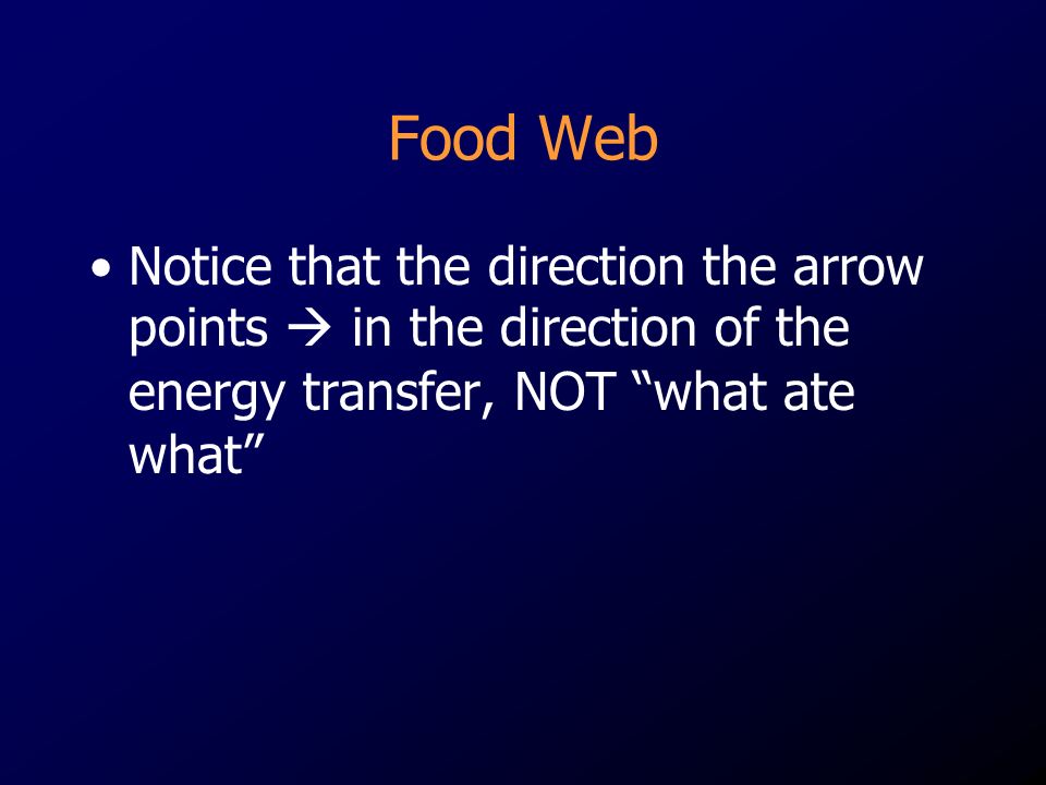 Food Web Notice that the direction the arrow points  in the direction of the energy transfer, NOT what ate what