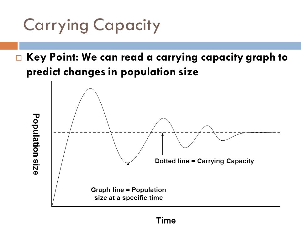 Carrying Capacity Key Point: We can read a carrying capacity graph to predict changes in population size.