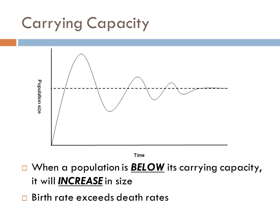 Carrying Capacity Time. Population size. Remember from math class, exponential increase = constantly doubling. (Makes a curved line on a graph.)