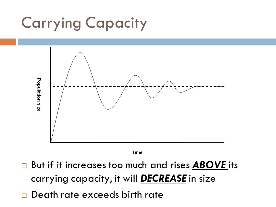 Carrying Capacity Time. Population size. Analogy: We run out of food at the party, and people start to leave.