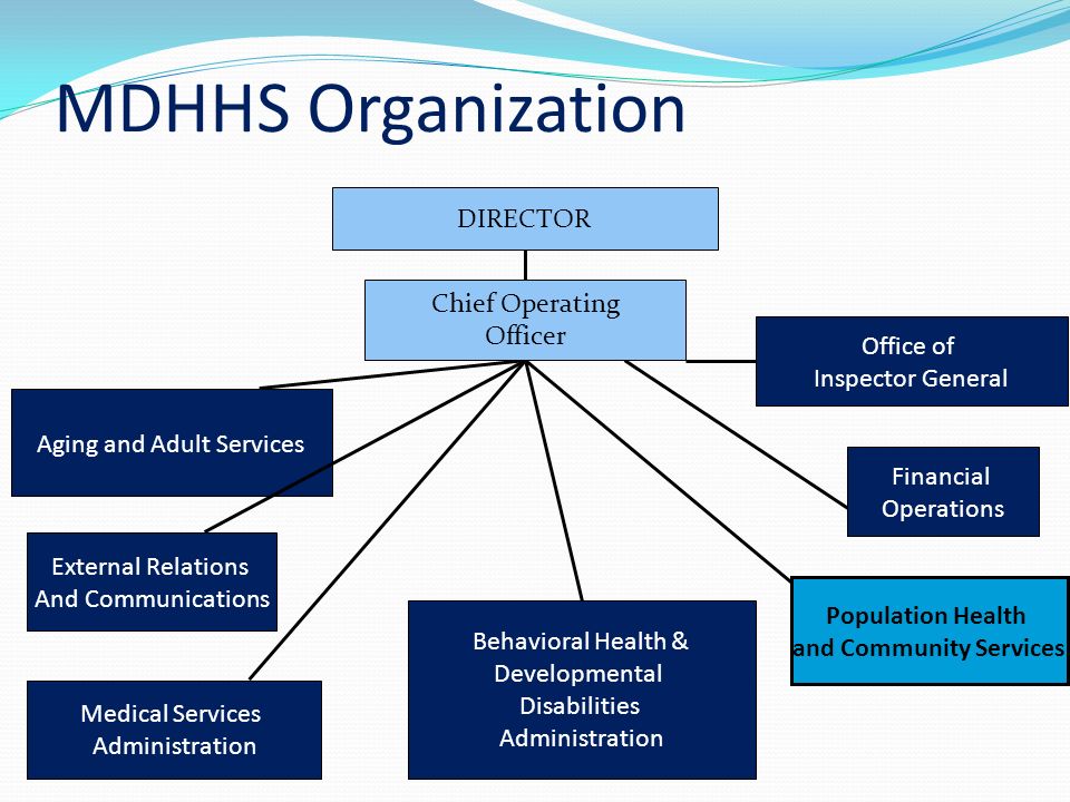 Mdhhs Organizational Chart