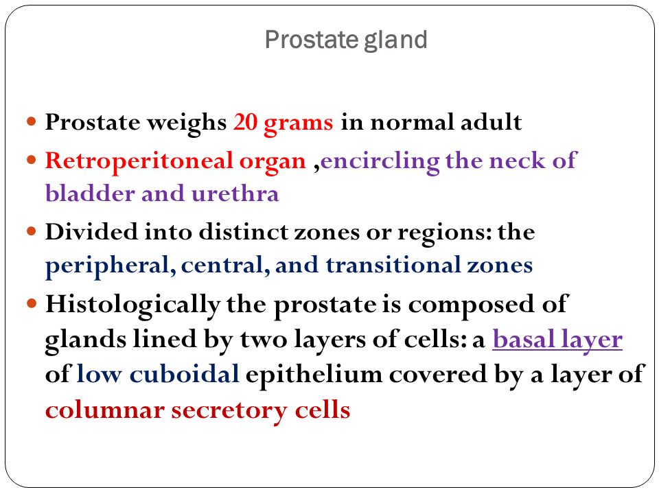 Chist adenom prostatic prostata