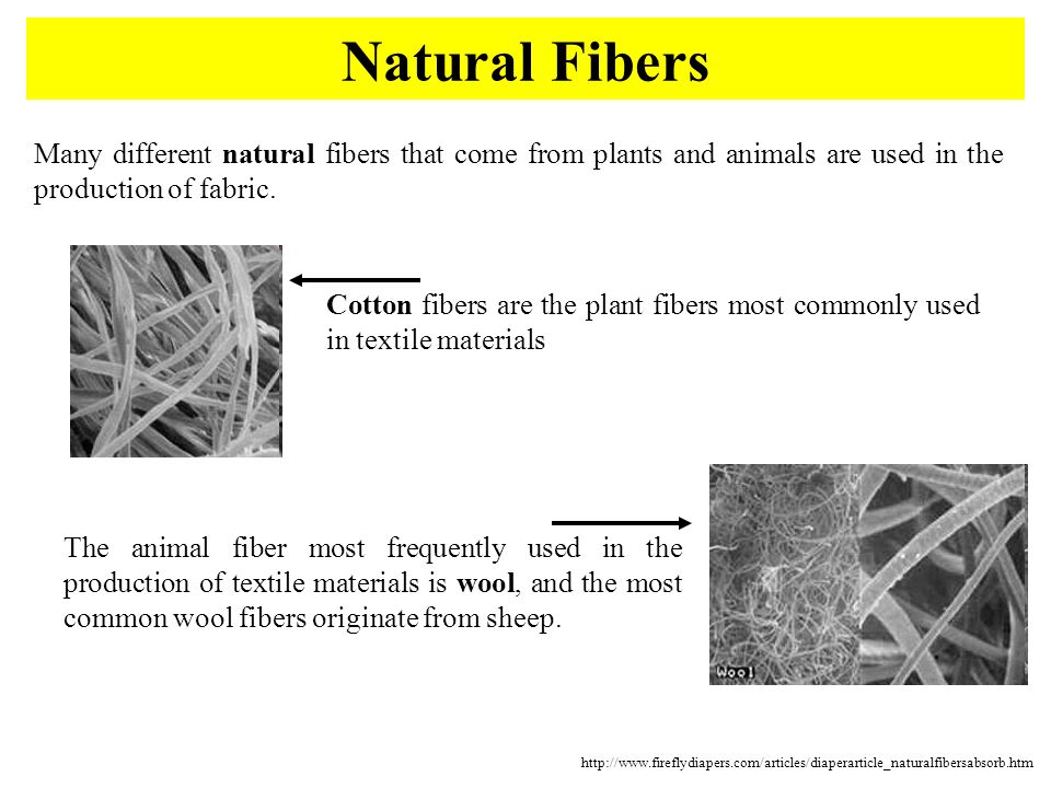 Hairs Fibers Forensic Science Ppt Video Online Download
