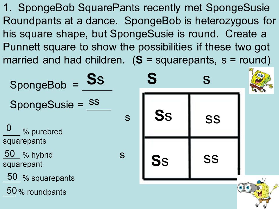 Bikini Bottom Genetics Ppt Video Online Download