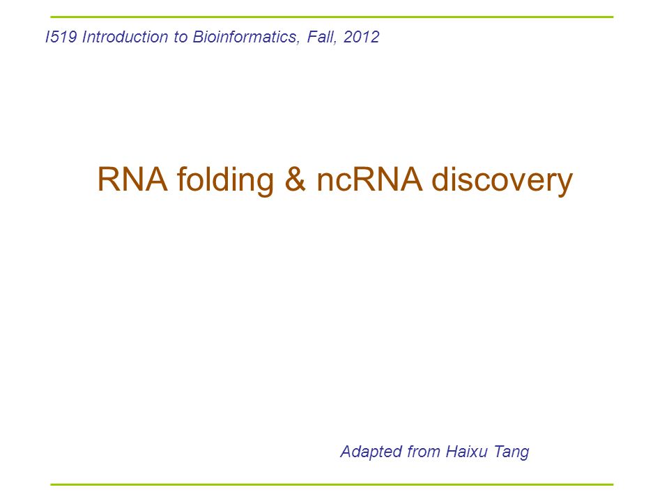 RNA folding & ncRNA discovery