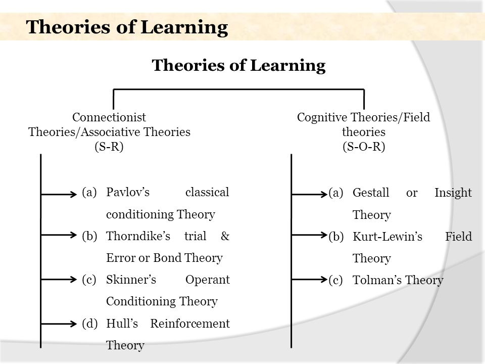 thorndikes theory of learning was called