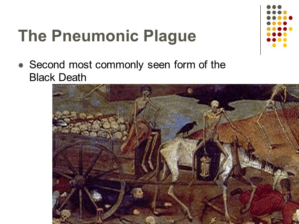 The Pneumonic Plague Second most commonly seen form of the Black Death