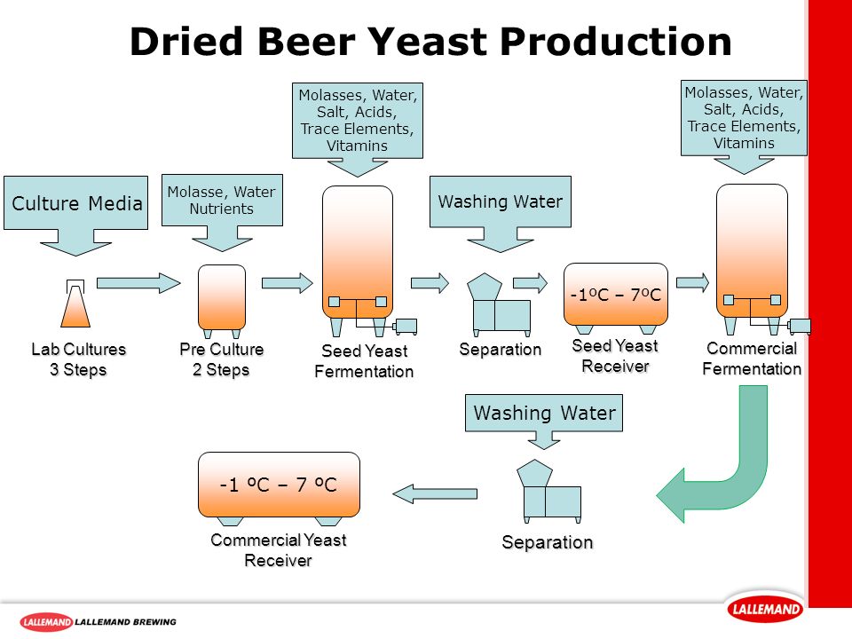 Production of Dried Beer Yeast video online download