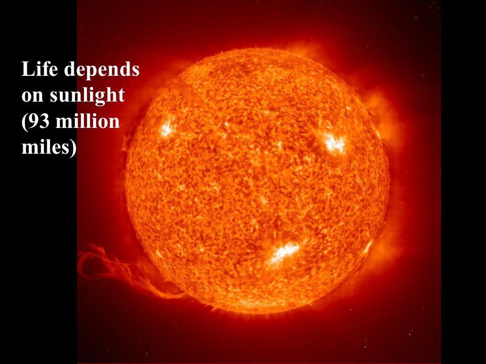 Life depends on sunlight (93 million miles)