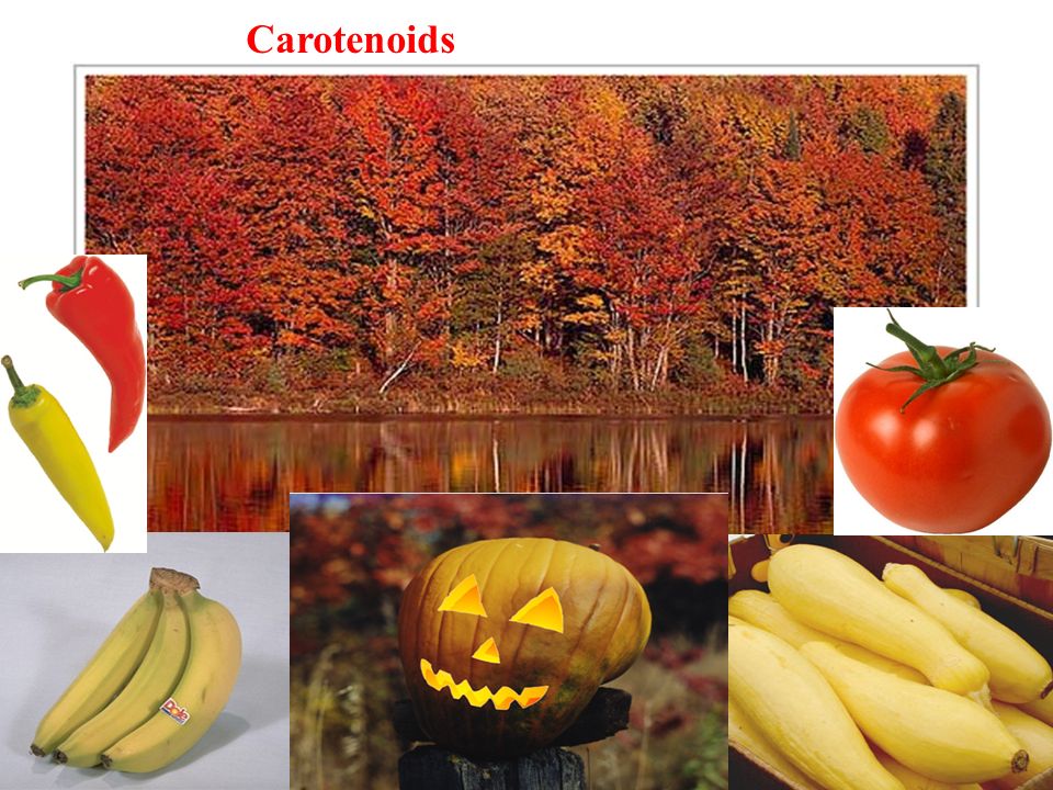 Carotenoids