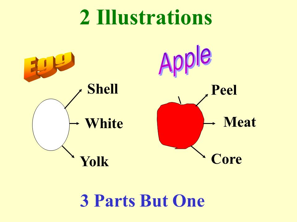 2 Illustrations 3 Parts But One Apple Egg Shell Peel Meat White Core