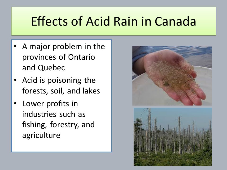 Acid rain перевод 7 класс. Acid Rain Effects. Кислотные дожди в Канаде. Acid Rain 7 класс. Acid Rain topic.
