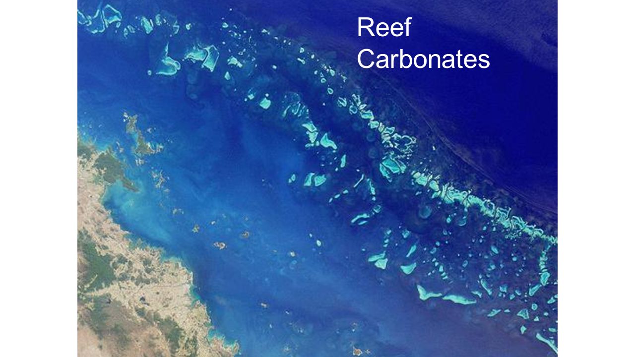 Reef Carbonates