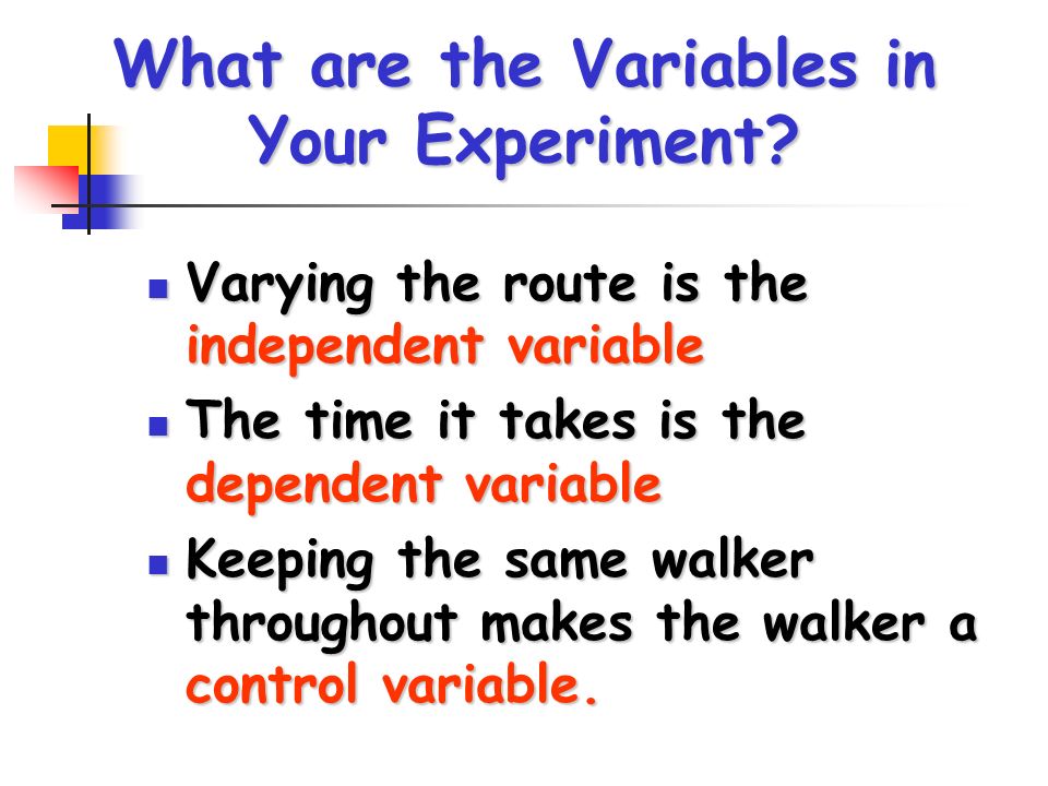 What are the Variables in Your Experiment