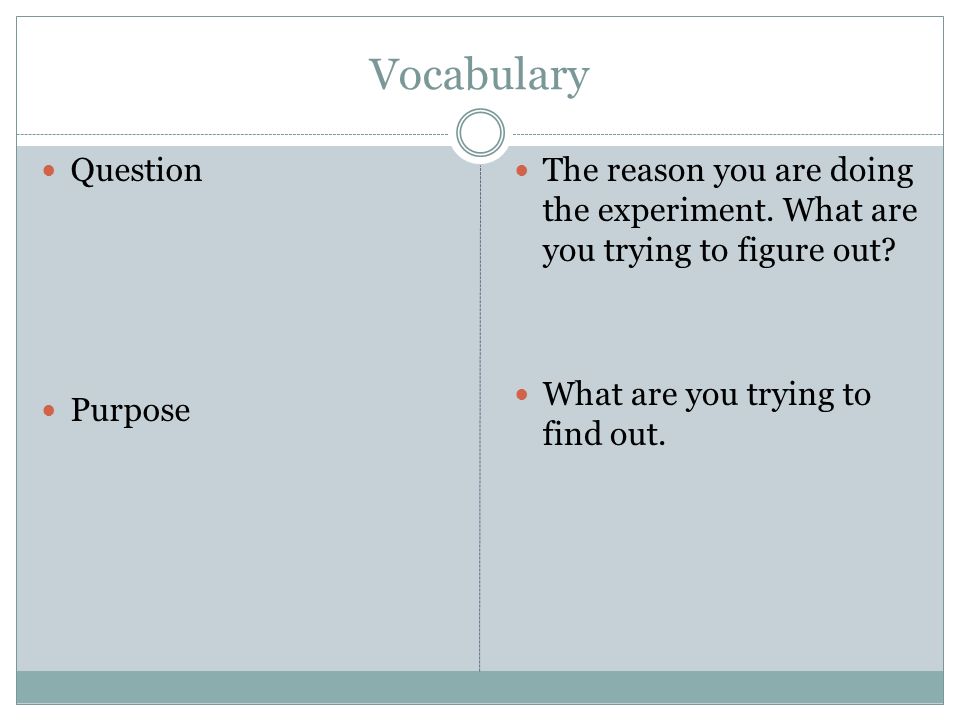Vocabulary Question Purpose