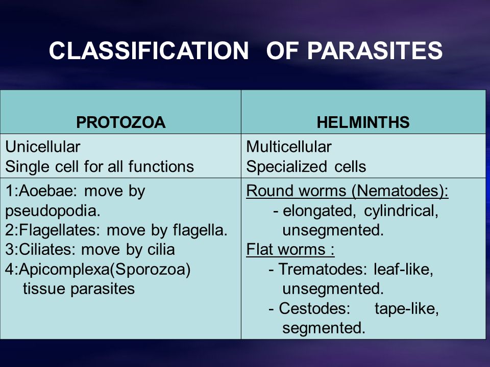 Protozoan paraziták ppt, Hány parazita