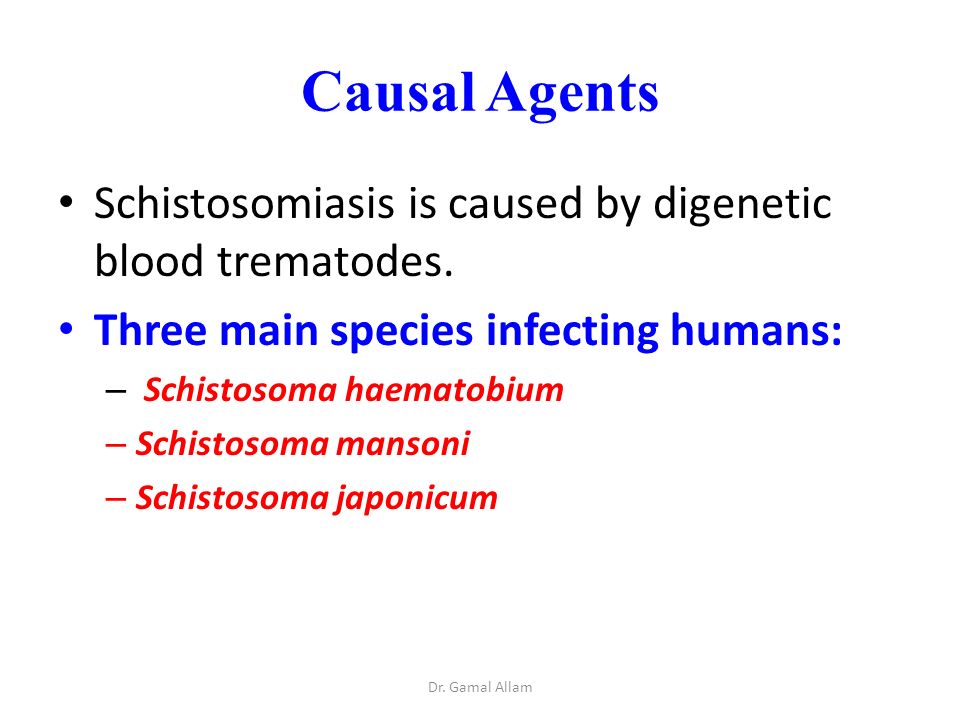 schistosomiasis agent