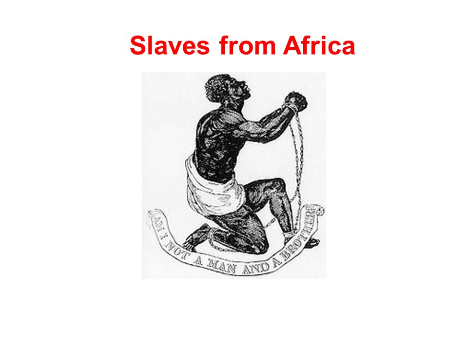 Slaves from Africa