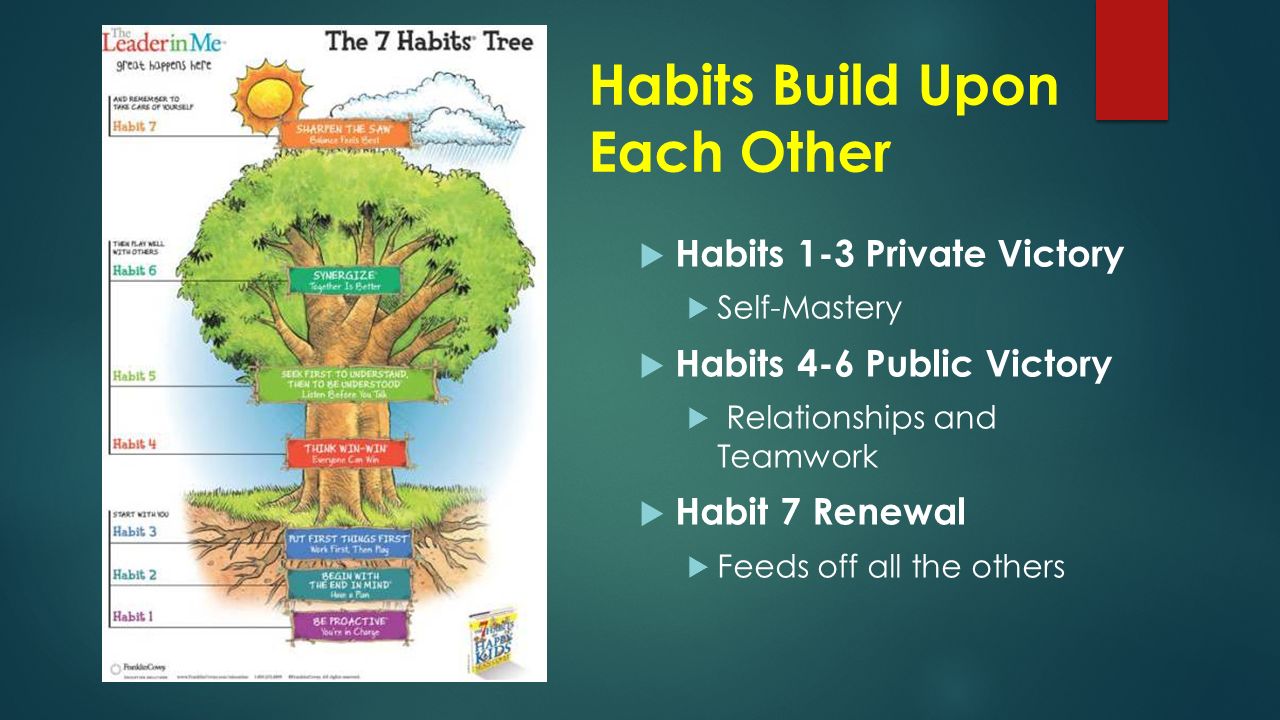 Habits Build Upon Each Other