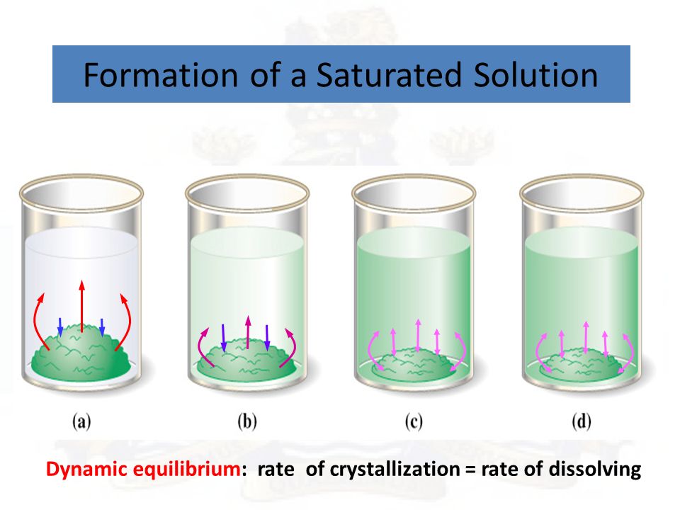 Formation of a Saturated Solution