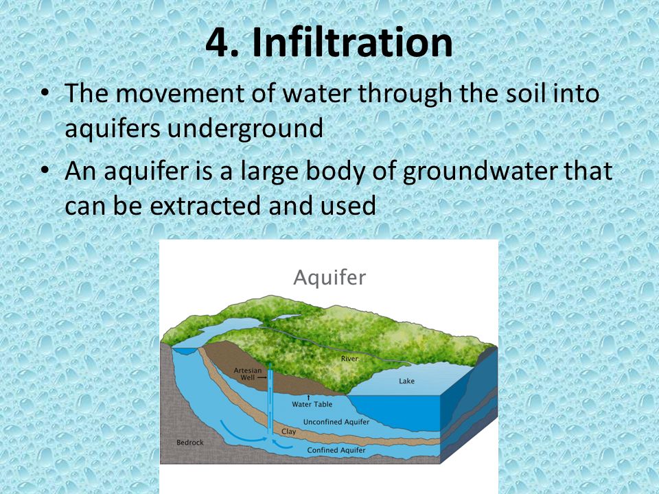 4. Infiltration The movement of water through the soil into aquifers underground.