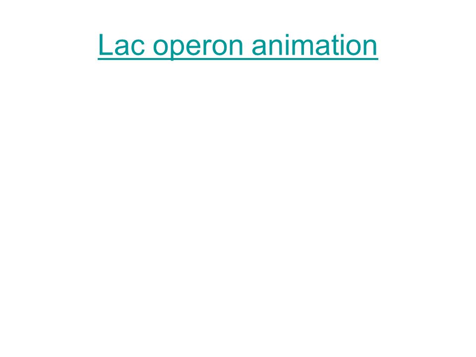Lac operon animation