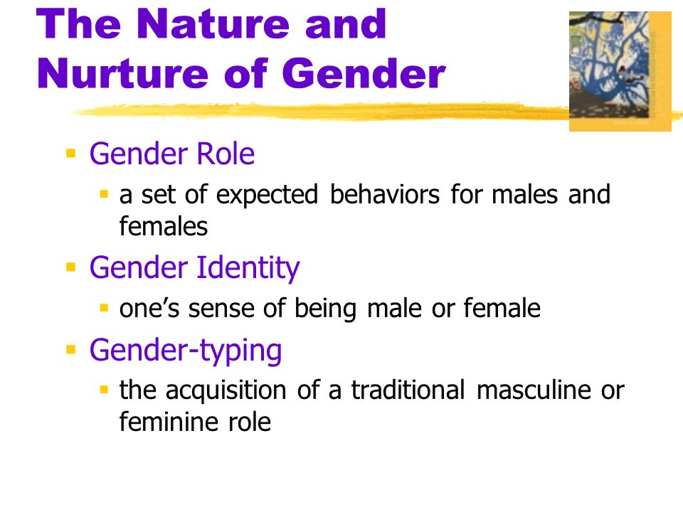 nature vs nurture gender identity
