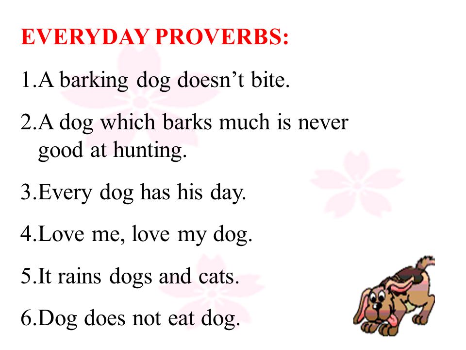 every dog has its day proverb