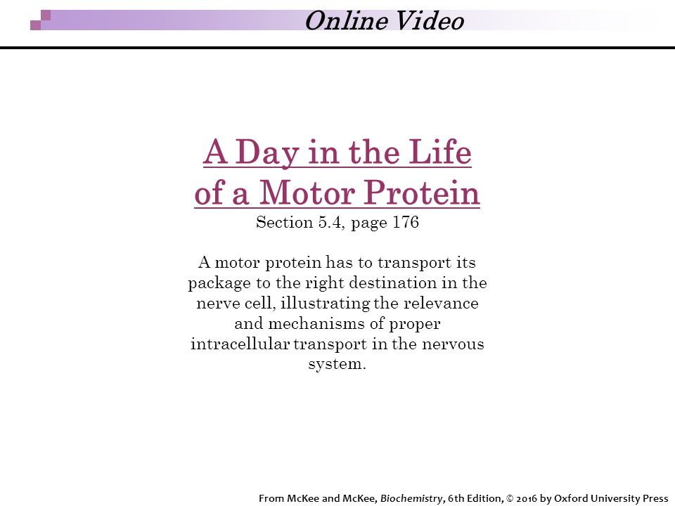 slideplayer