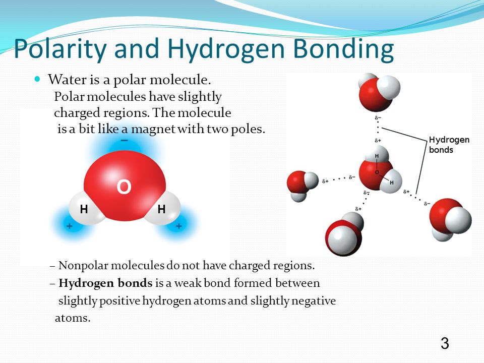 Polarity and Hydrogen Bonding.