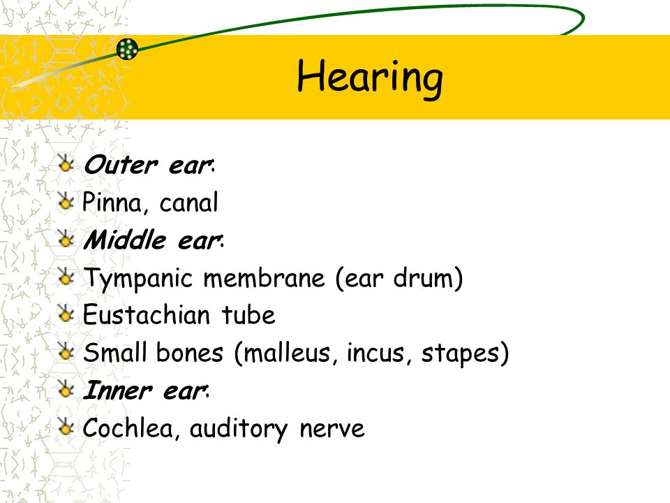 Hearing Outer ear: Pinna, canal Middle ear: