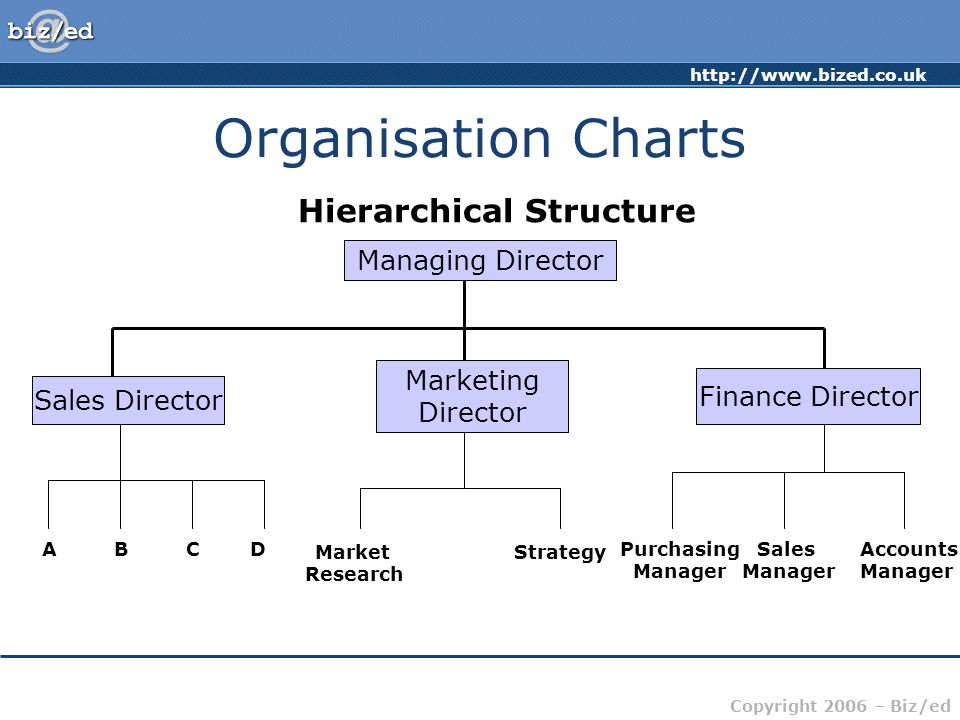 Match organization. Hierarchical structure Companies. Hierarchical Organizational structure. Hierarchy structure Organization. Структура Flat Organization.