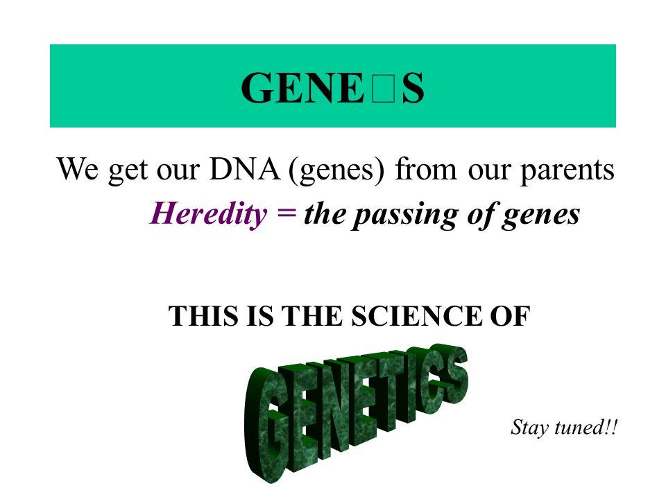 GENES We get our DNA (genes) from our parents