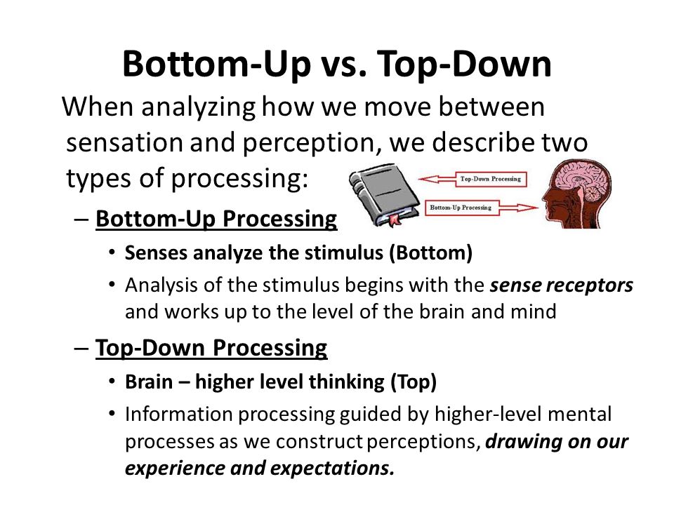 Что означает down. Top down processing. Top down and bottom up approach in teaching. Top-down process. Технология Top down.
