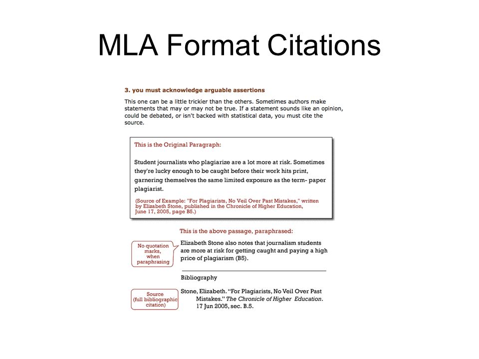 lab report citation format