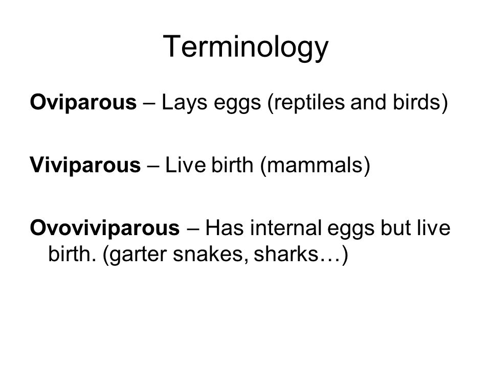 5to Science 3 4 5 - Lessons - Blendspace 5to Science 3 4 5 - Lessons - Blendspace