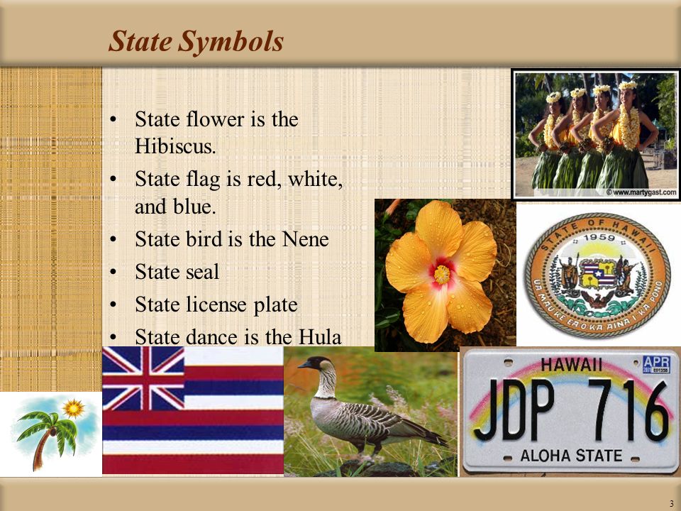 State Symbols State flower is the Hibiscus.