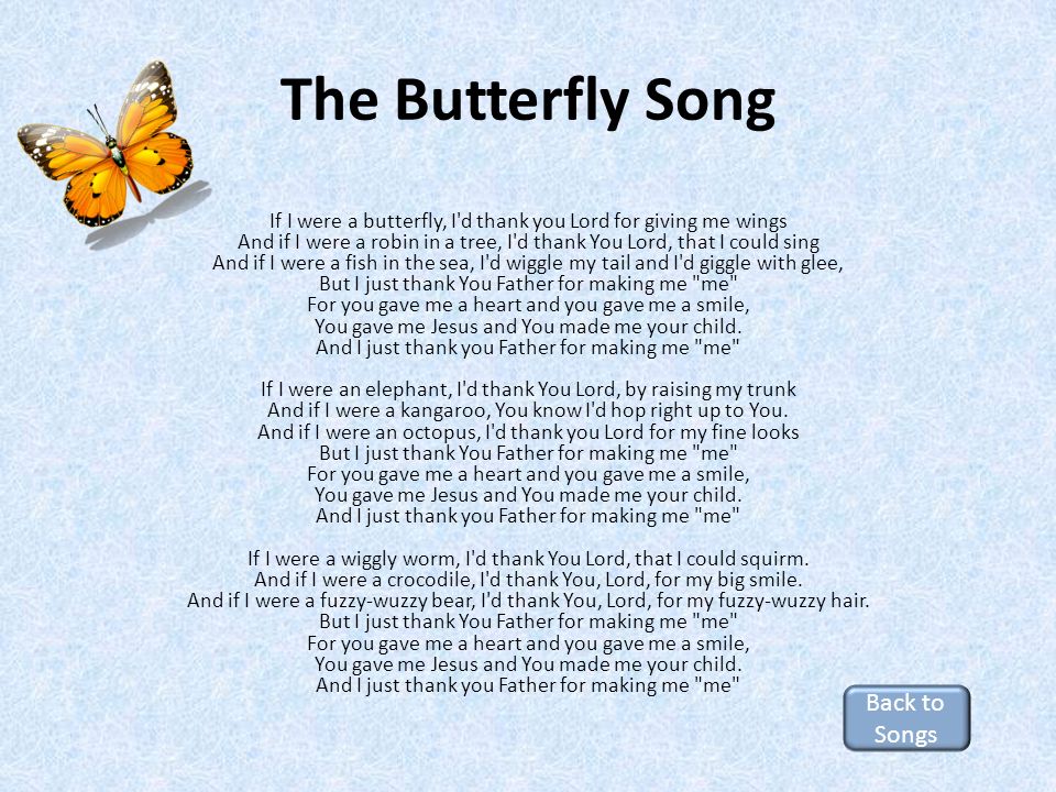 if you were a butterfly