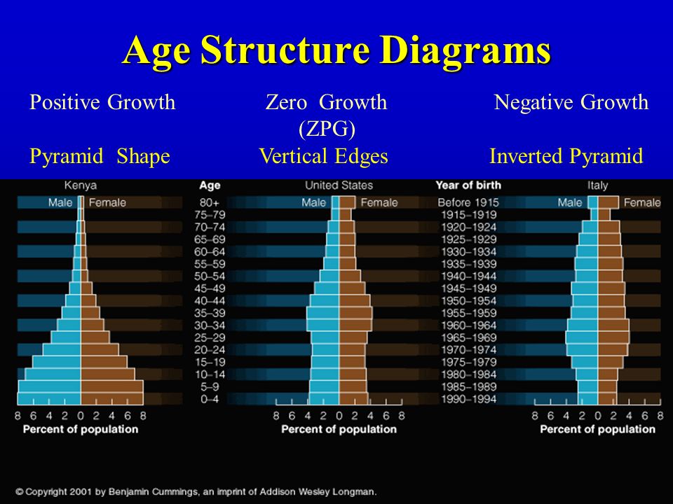 1 source A. Sharov Population Ecology web course - ppt video online ...