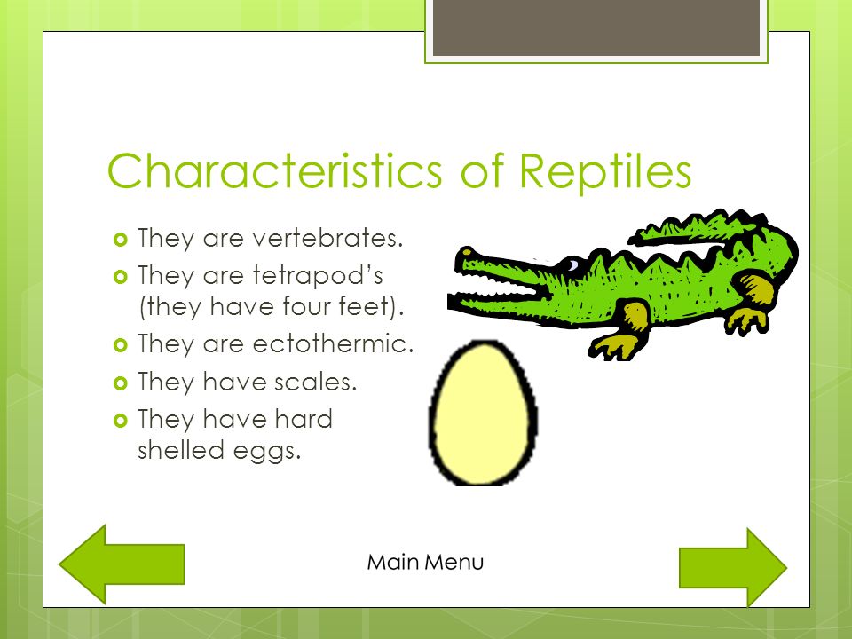 Characteristics of Reptiles