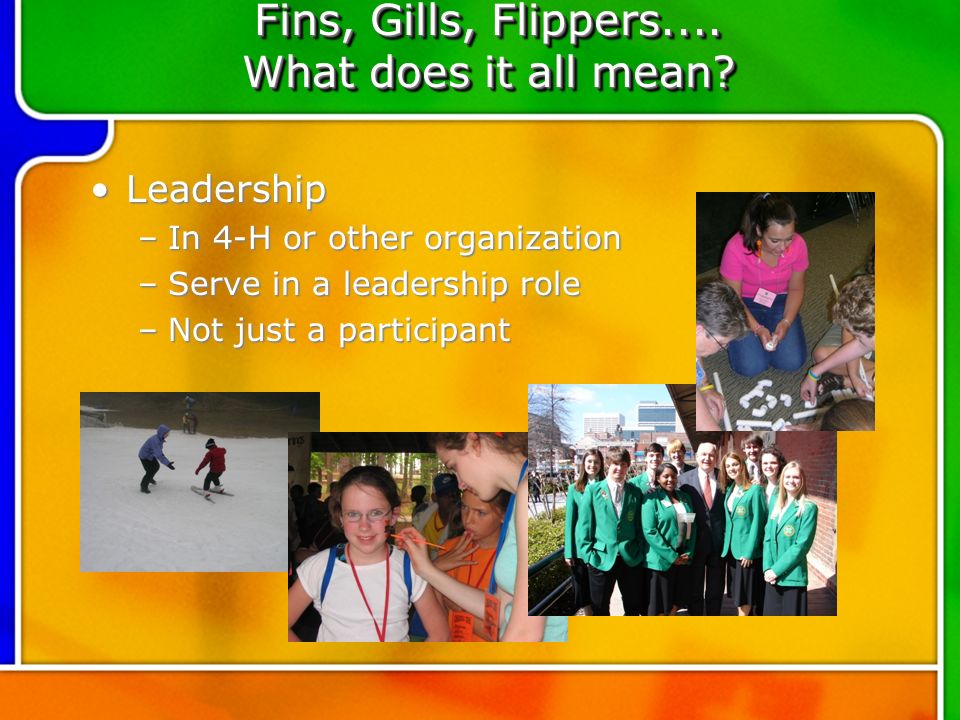 Fins, Gills, Flippers.... What does it all mean