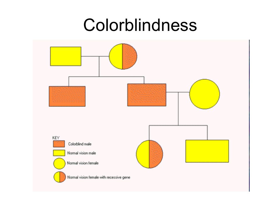 Analyzing A Family History Of Colour Blindness Pedigree Charts.