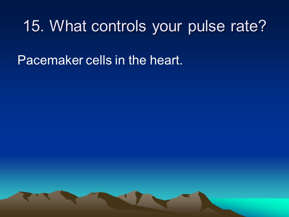 15. What controls your pulse rate