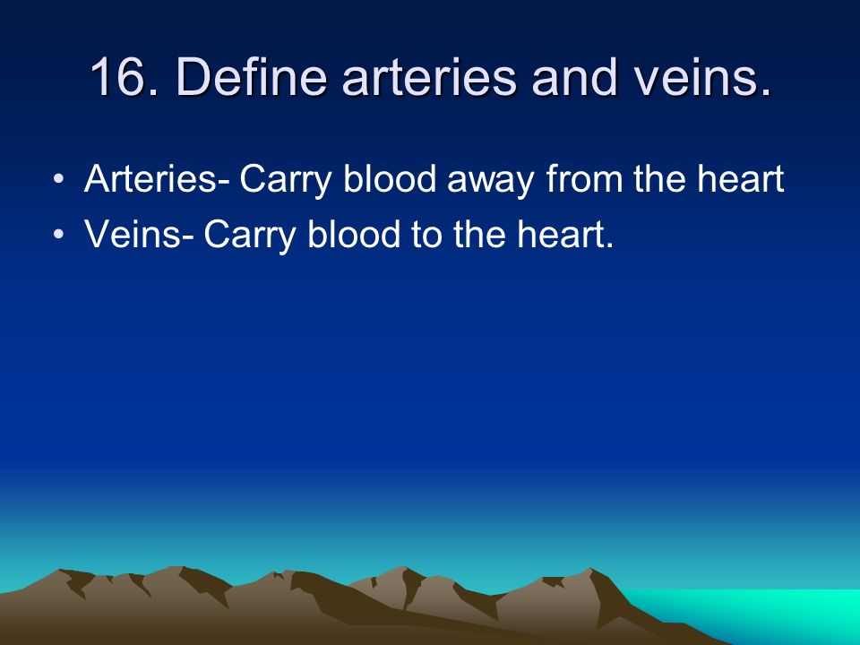 16. Define arteries and veins.