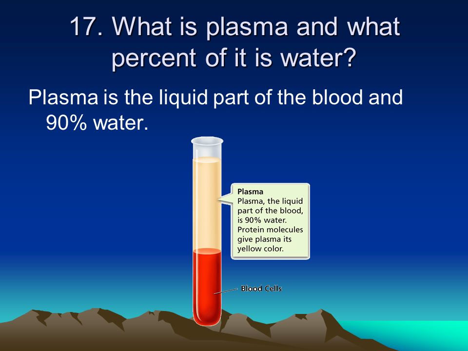 17. What is plasma and what percent of it is water