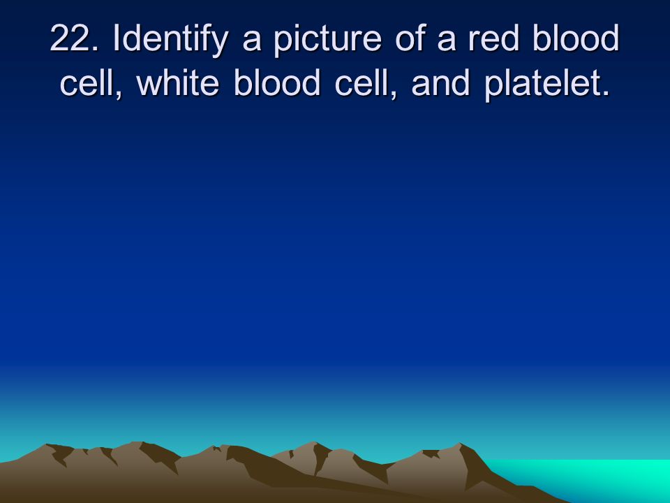 22. Identify a picture of a red blood cell, white blood cell, and platelet.